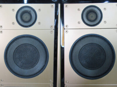 Technics SB-AFP1000