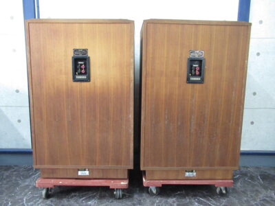 TANNOY Edinburgh TW