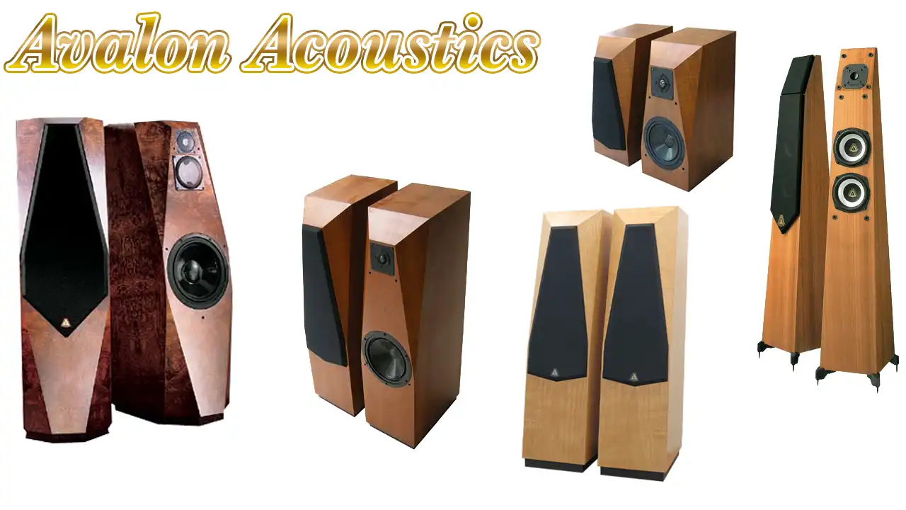 AVALON ACOUSTICSとは？最高峰スピーカーブランドの魅力と歴史を解説