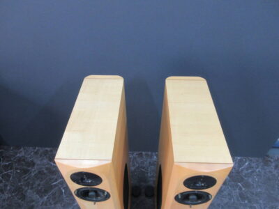 audio physic Virgo iii