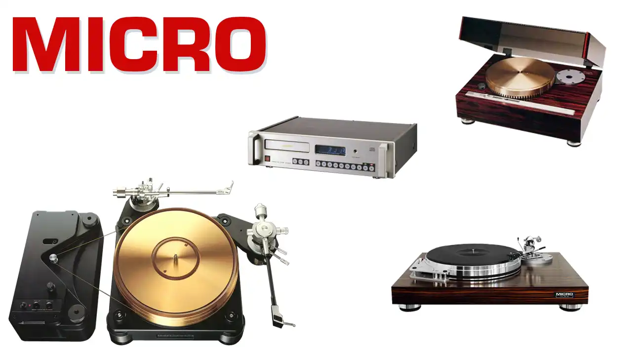 micro_history.webp