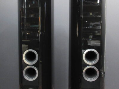 TANNOY Defenition DC10T