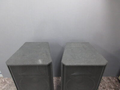 BEHRINGER EUROLIVE VP2520