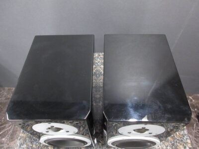DYNAUDIO Excite X12