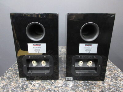 DYNAUDIO Excite X12